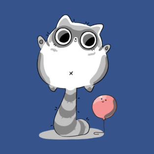 Raccoon and Balloon